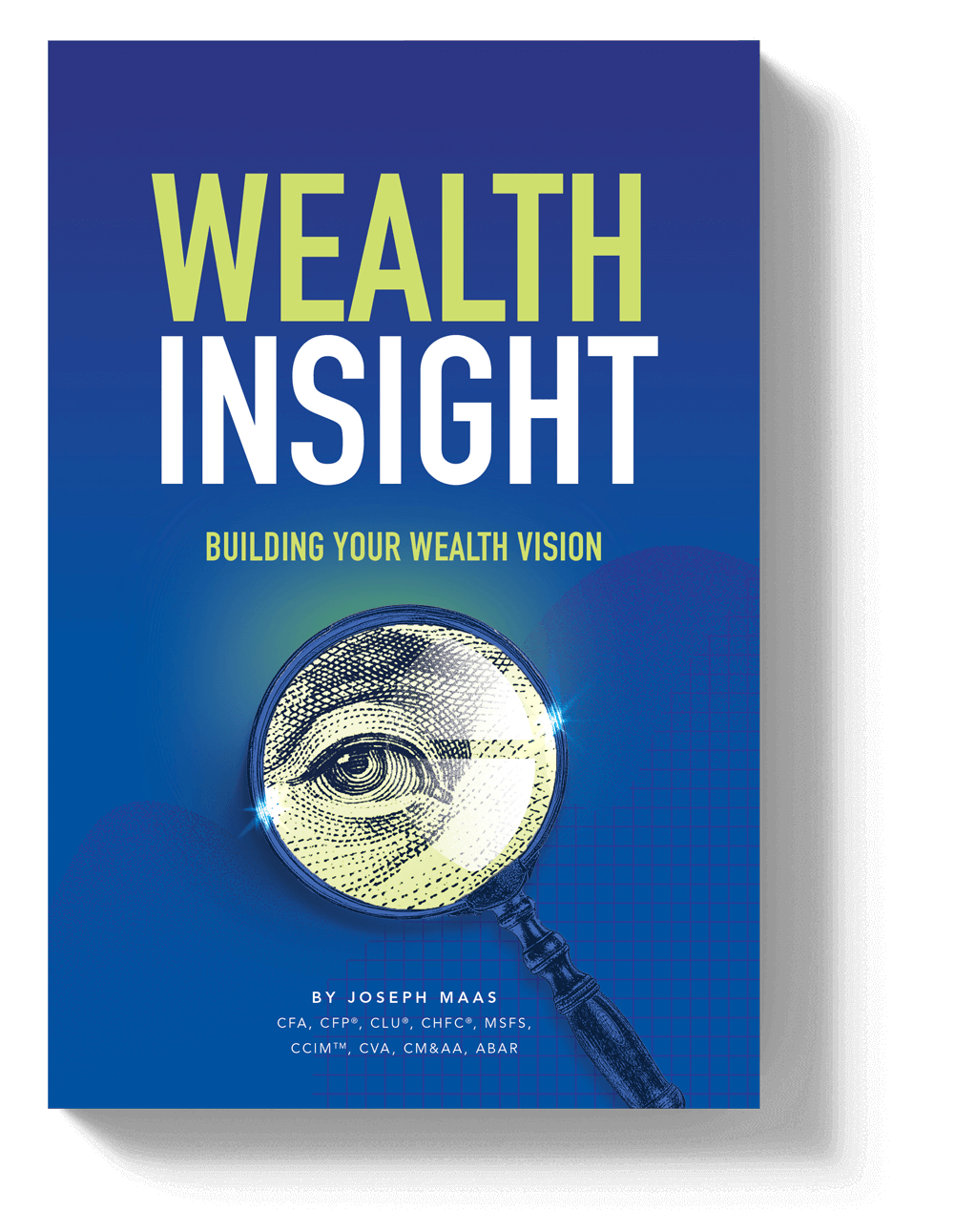 Wealth Insight: Building Your Wealth Vision